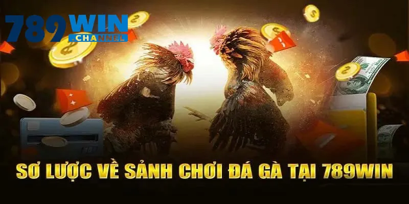 Sơ lược về sảnh chơi đá gà tại 789win