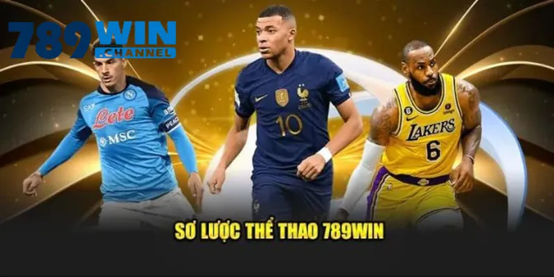 Sơ lược thể thao 789win