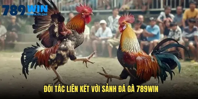 Đối tác liên kết với sảnh đá gà 789win