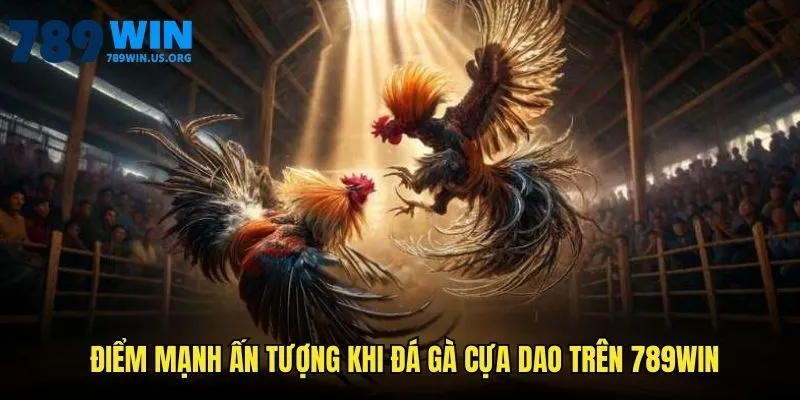 Điểm mạnh ấn tượng khi đá gà cựa dao trên 789win