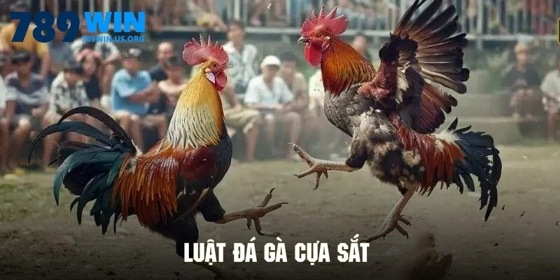Luật đá gà cựa sắt