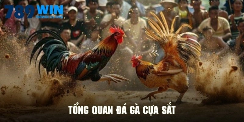 Tổng quan đá gà cựa sắt