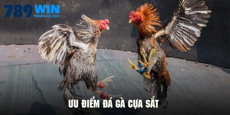 Ưu điểm đá gà cựa sắt