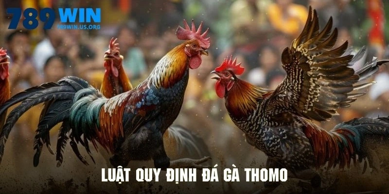 Luật quy định đá gà Thomo