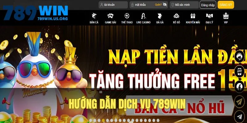 Hướng dẫn dịch vụ 789win