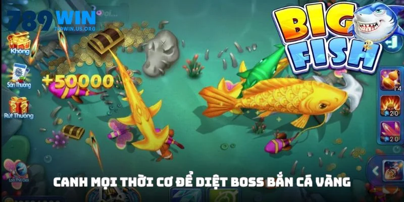 Canh mọi thời cơ để diệt boss bắn cá vàng
